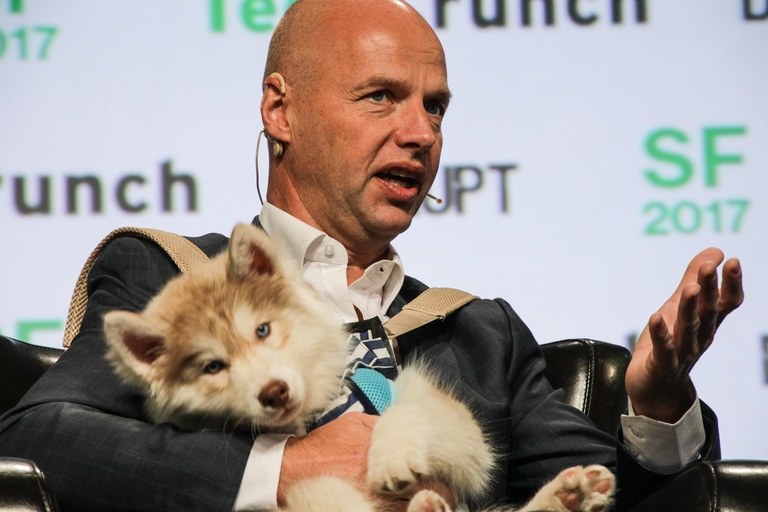 TechCrunch puppy 2