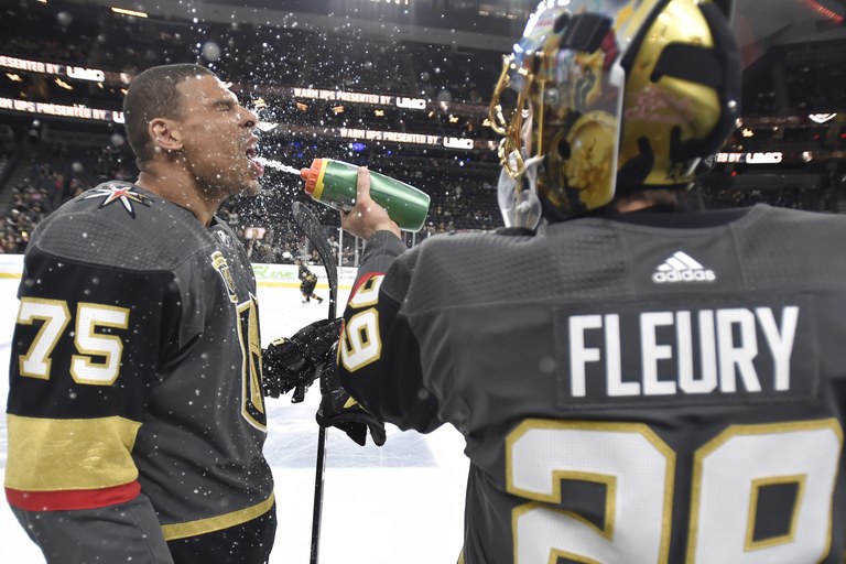 Arizona Coyotes v Vegas Golden Knights