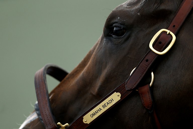 Kentucky Derby Previews