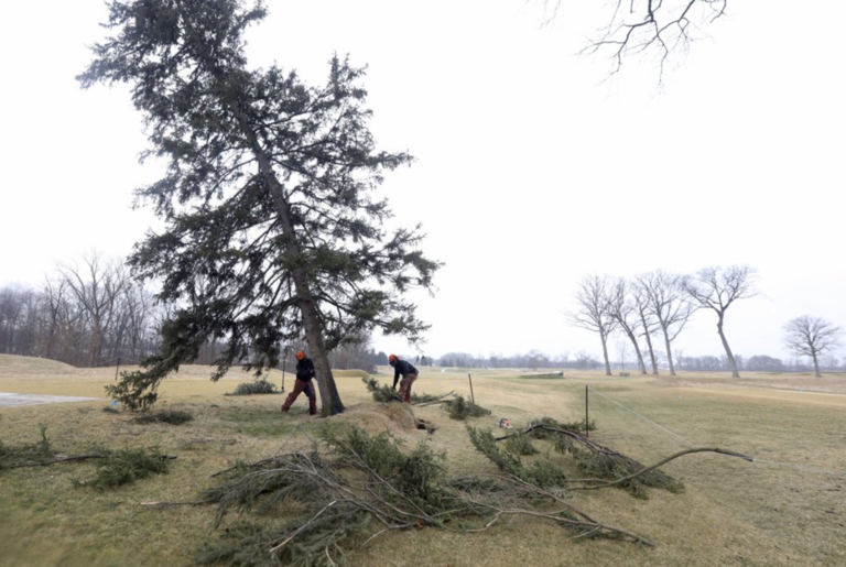 Hinkle Tree at Inverness